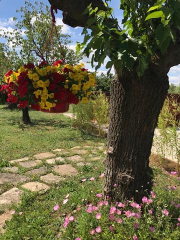 Occitemps Daire Saint Julien Les Rosiers Dış mekan fotoğraf